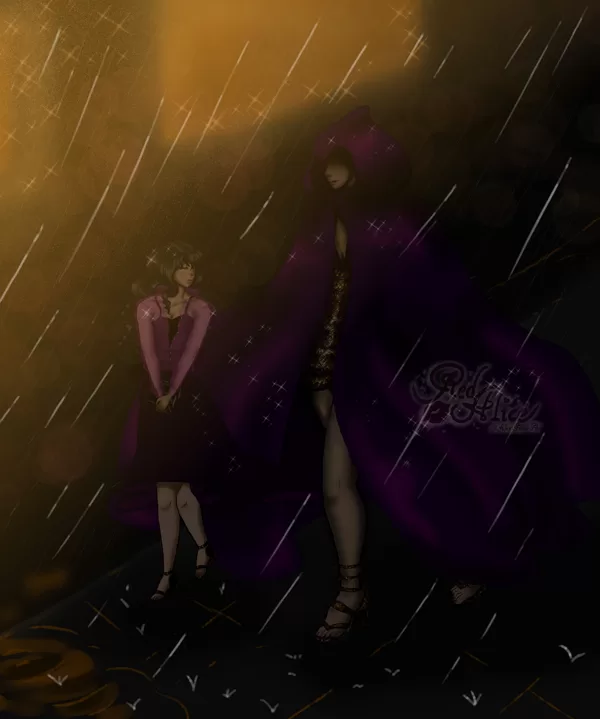 Chapter 14 Mysterious stranger